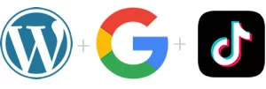 wp google tiktok