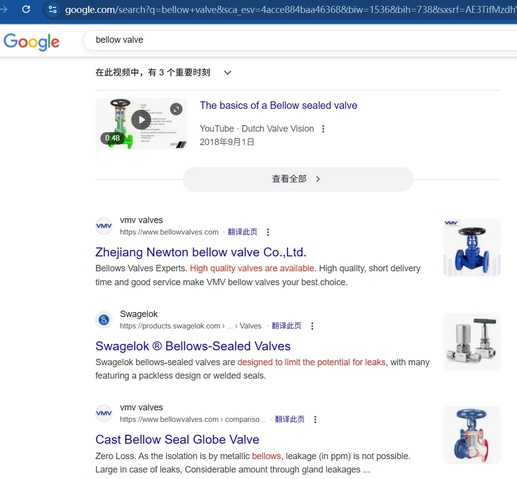 bellow valve keywords