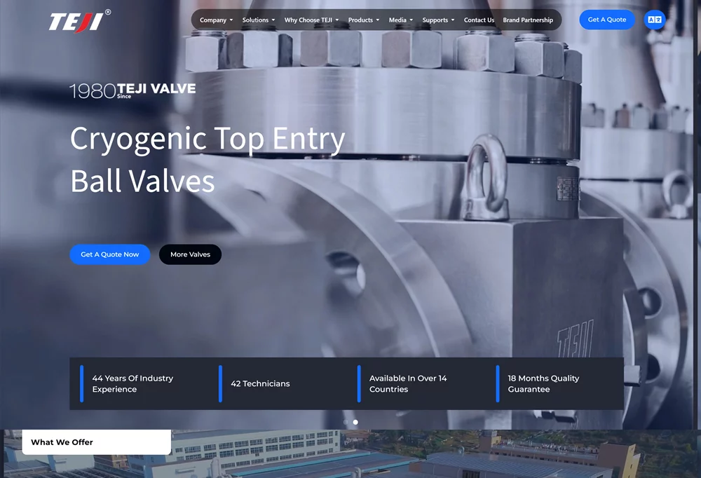 Teji Valve Group Co., Ltd.