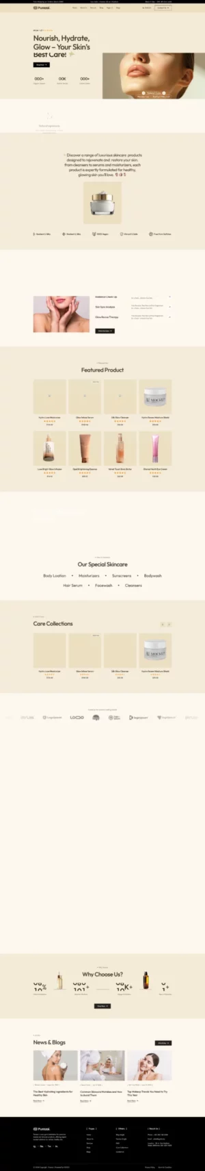 Tocdemo044跨境商城独立站 PC