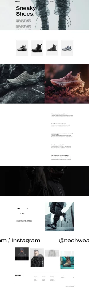 Tocdemo055跨境商城独立站 PC