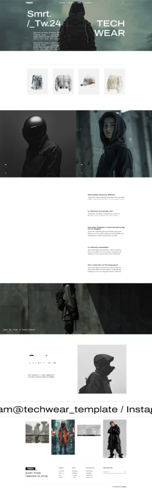 Tocdemo85跨境商城独立站 pc home