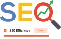 GOOGLE SEO GOOGLE SEO